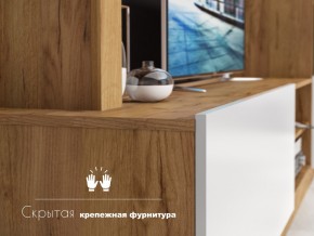 Гостиная Флекс в Нягани - nyagan.magazinmebel.ru | фото - изображение 4